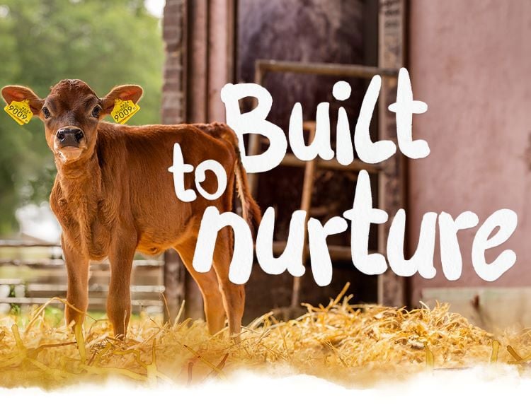 Costruito per nutrire