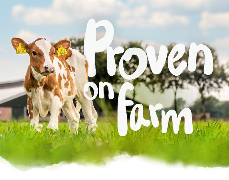 Collaudato in azienda