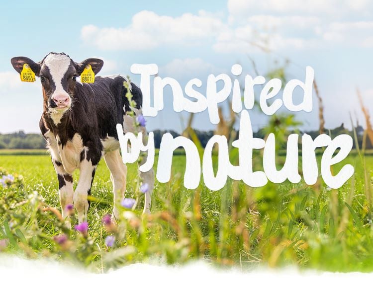 Ispirato dalla natura