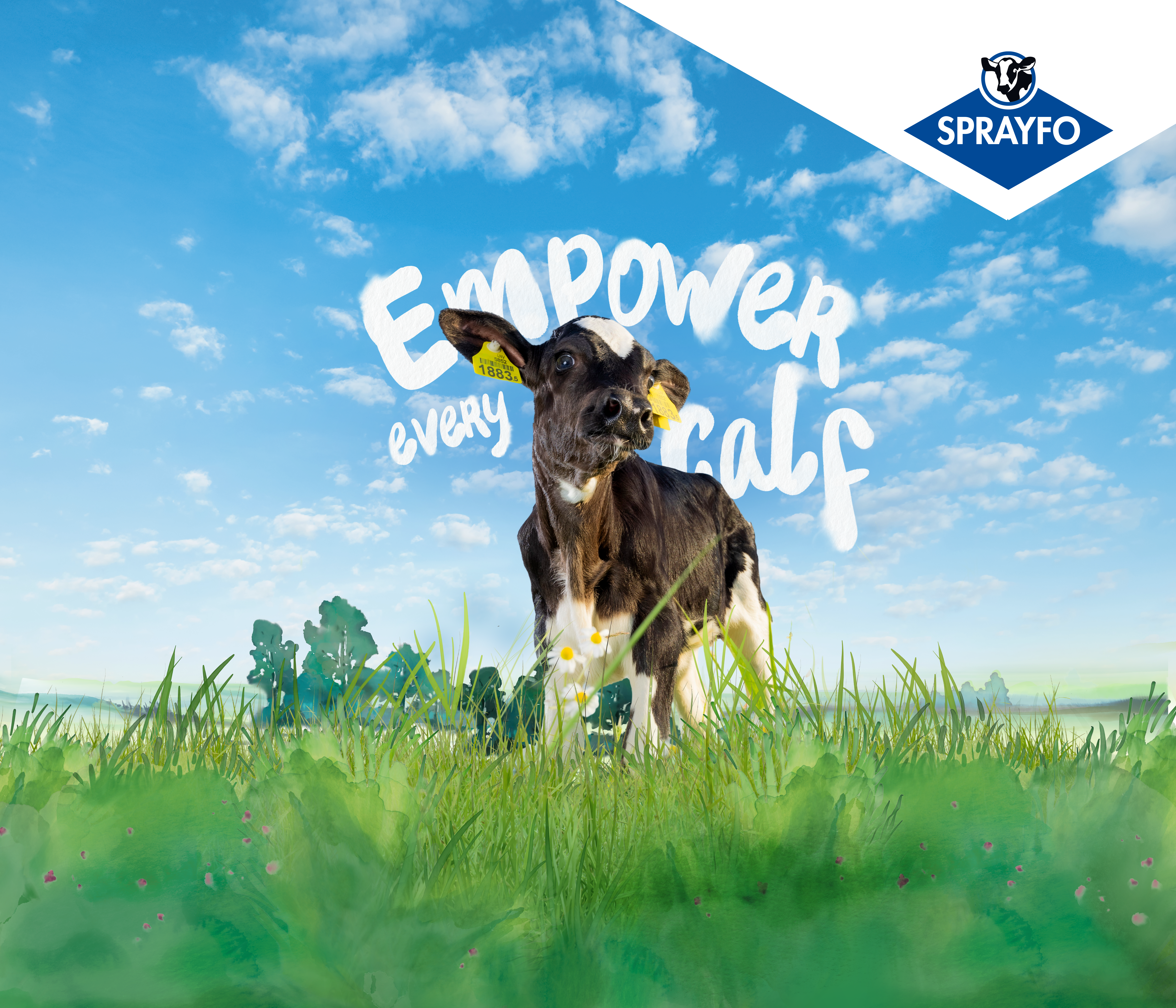 Vitello in un campo con il titolo Empower every calf